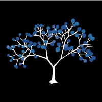 Complexity Explorer Logo